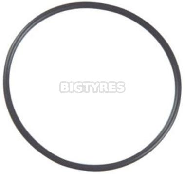 49" O-Ring (Thick) (OR-349)